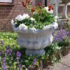 Bloempot