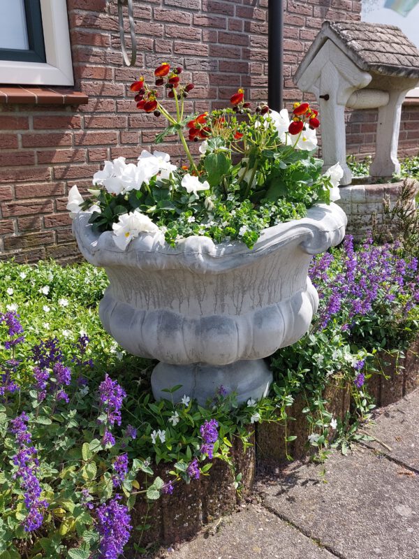 Bloempot