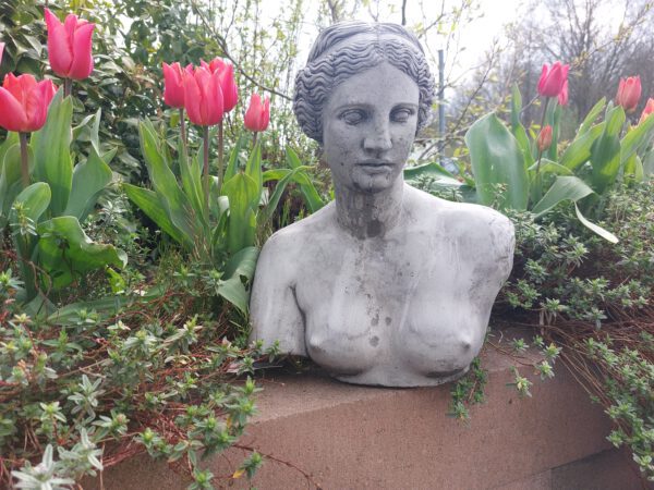 Buste - Vrouw