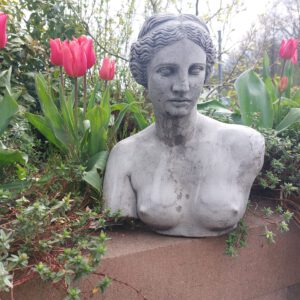 Buste - Vrouw