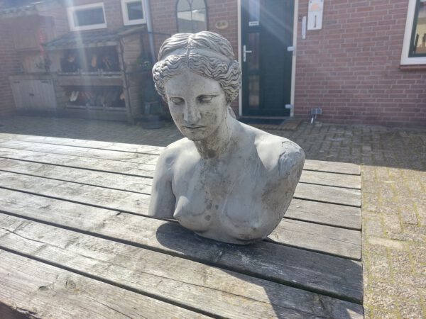 Buste - Vrouw
