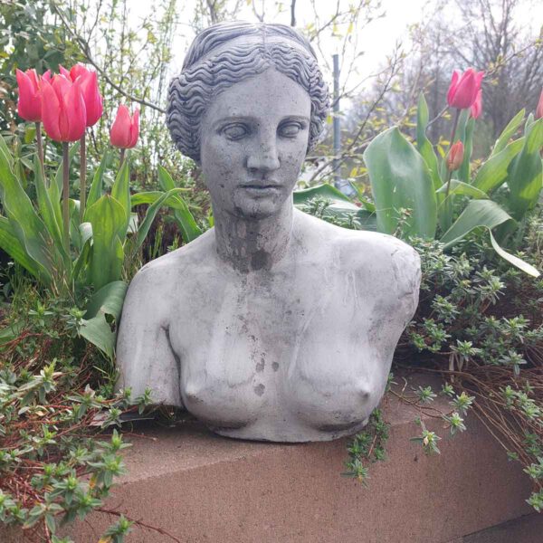 Buste - Vrouw