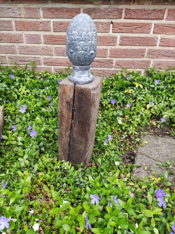 Dennenappel