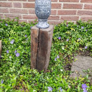 Dennenappel