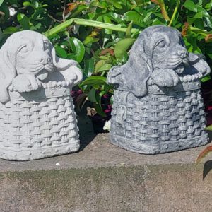 Hond in mandje