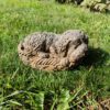 Hondje slapend in mand