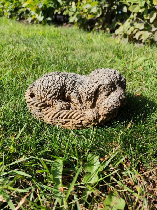 Hondje slapend in mand