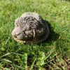 Hondje slapend in mand
