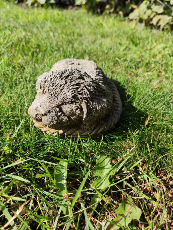 Hondje slapend in mand