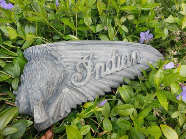 Indian logo