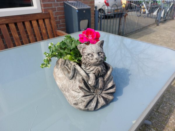 Kat - bloembakje