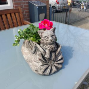 Kat - bloembakje
