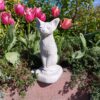 Kat - Siamese
