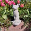 Kat - Siamese