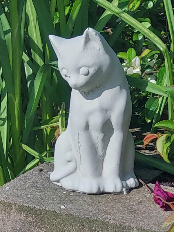 Kat - zittend