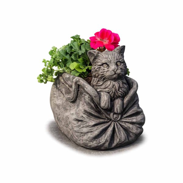 Kat - bloembakje