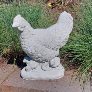Kip met kuikens