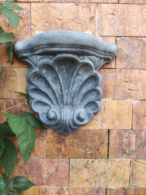 Muurornament - Schelp