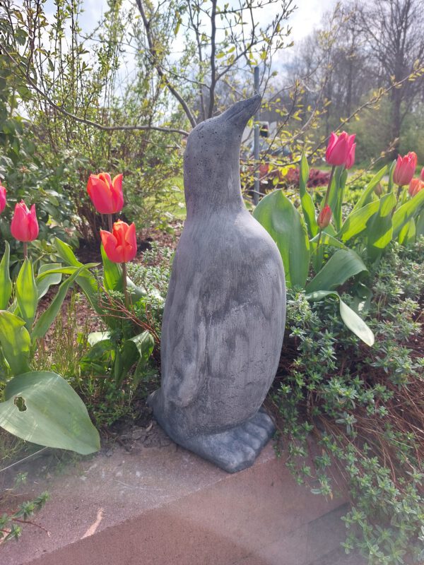 Pinguïn