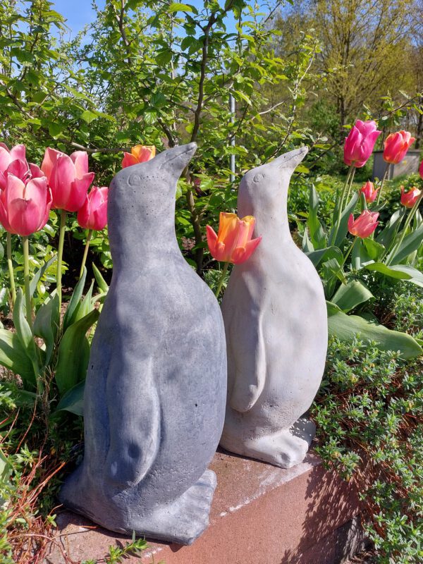 Pinguïn