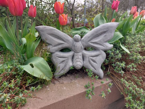 Vlinder