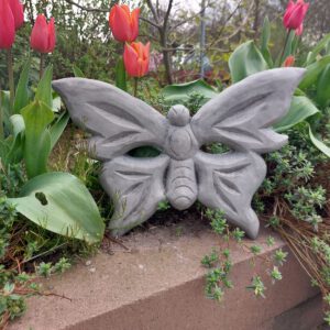 Vlinder