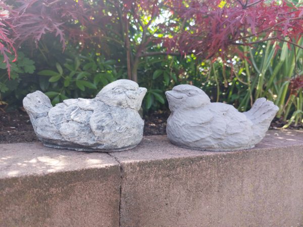 Vogel - Liggend