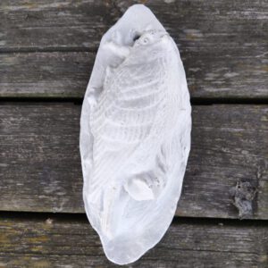 Vogel - Wandhanger
