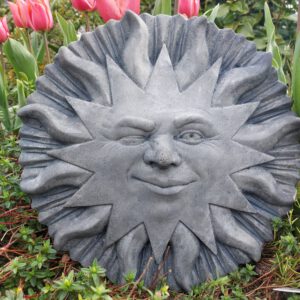 Knipogende zon