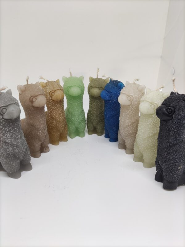 Kaars - Alpaca