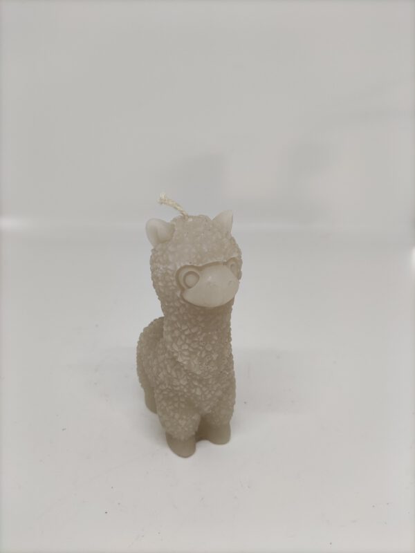 Kaars - Alpaca