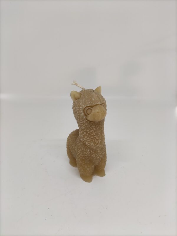Kaars - Alpaca