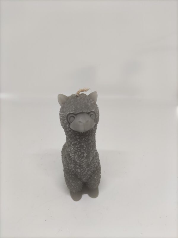Kaars - Alpaca