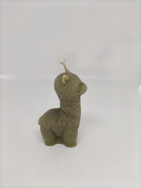 Kaars - Alpaca