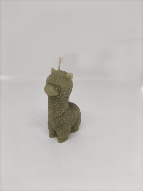 Kaars - Alpaca