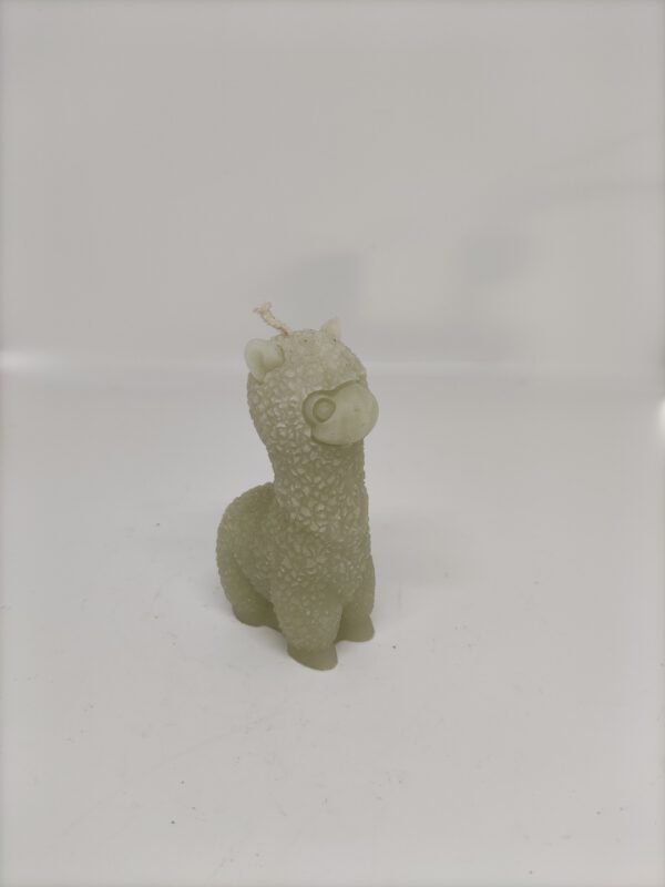 Kaars - Alpaca