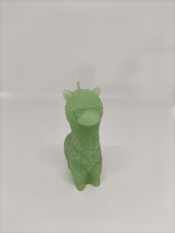 Kaars - Alpaca