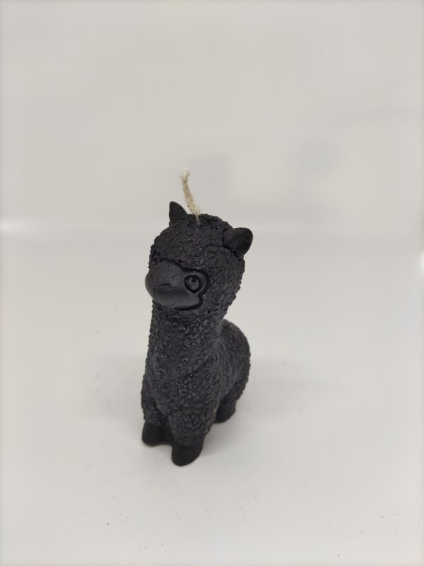 Kaars - Alpaca