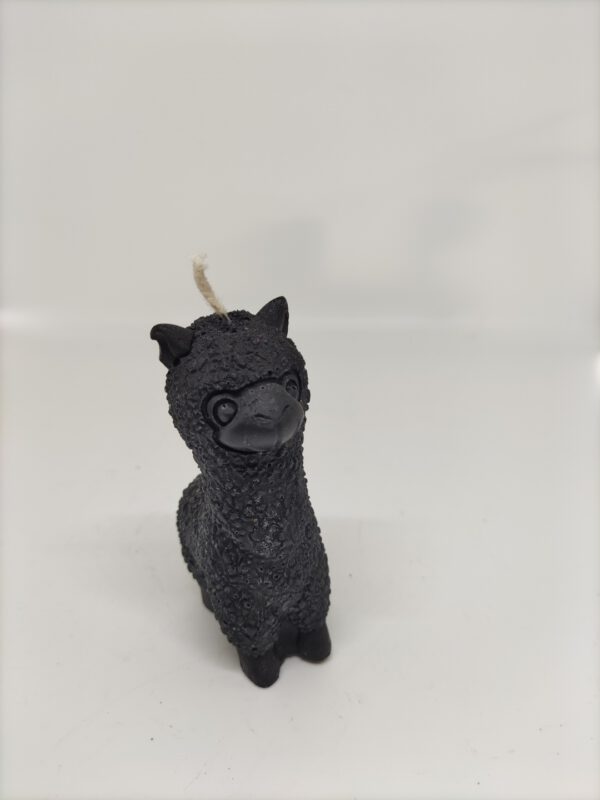 Kaars - Alpaca