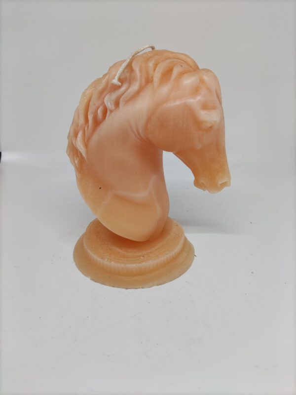 Kaars - Paard