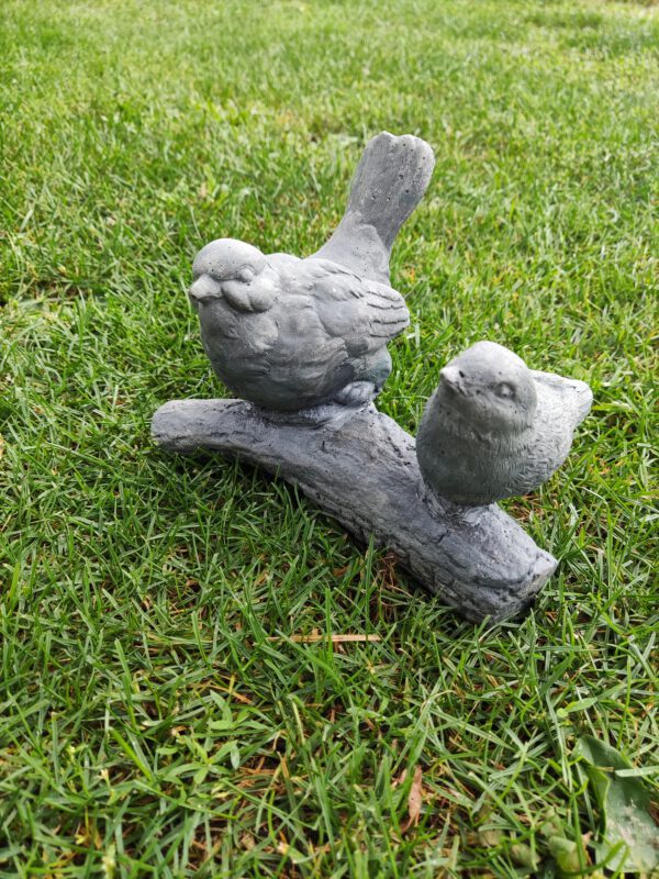 Vogels op tak