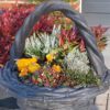 Bloemenmand - middel