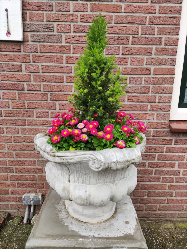 Bloempot