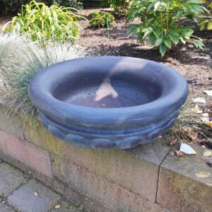 Plantenschaal