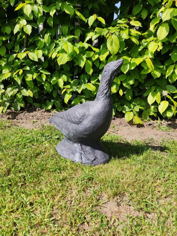 Gans - staand