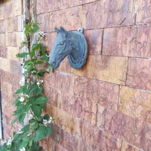 Paardenhoofd - Wandhanger