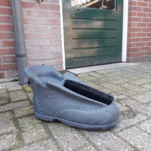 Schoen met borstel