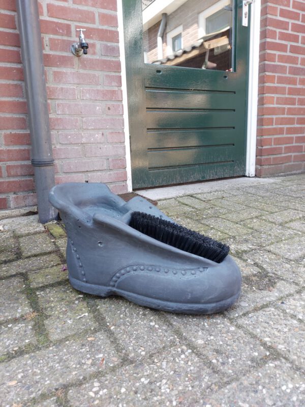 Schoen met borstel