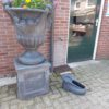 Schoen met borstel