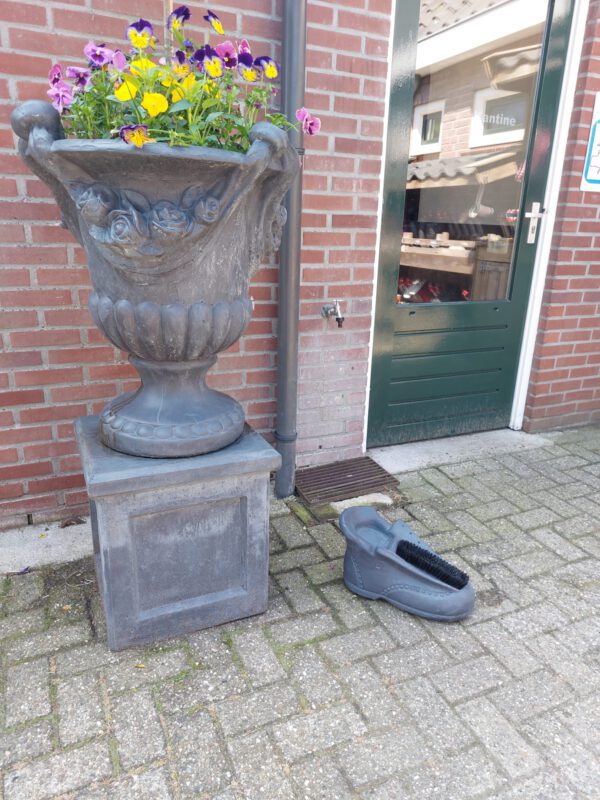 Schoen met borstel